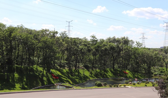 沈阳墓地实景