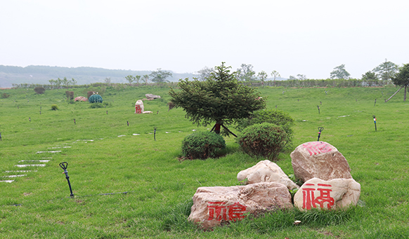 抚顺墓地实景