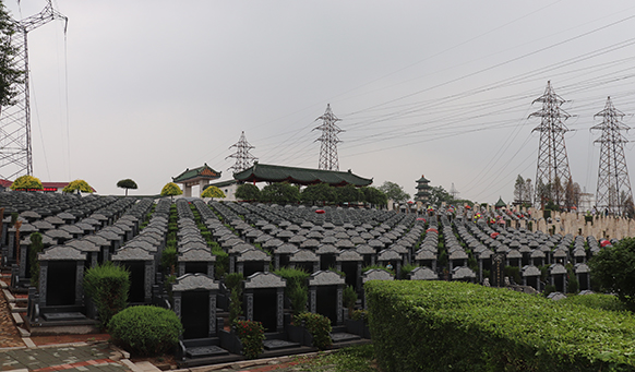 沈阳墓地实景