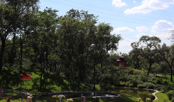 沈阳公墓实景