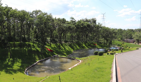 沈阳墓园实景