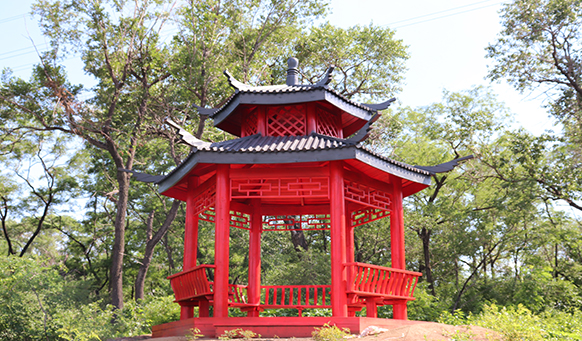 沈阳墓园实景