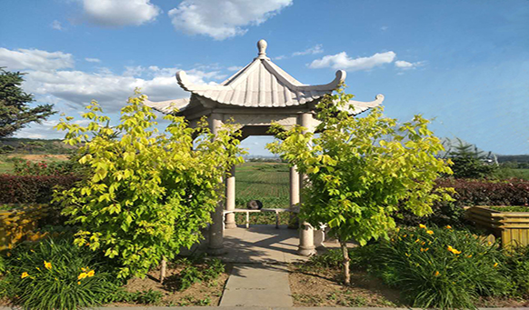 沈阳墓地实景