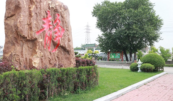 抚顺墓地实景