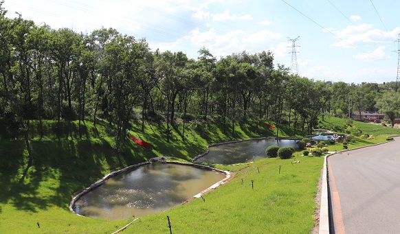 抚顺墓园实景