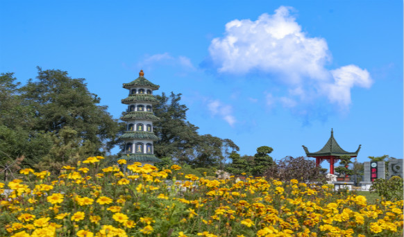 沈阳墓园实景