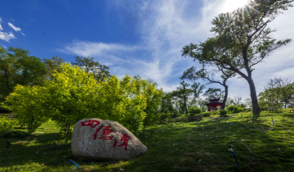 抚顺墓园实景