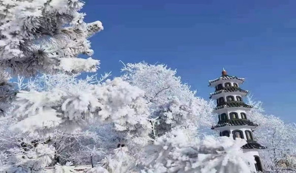 抚顺墓园实景