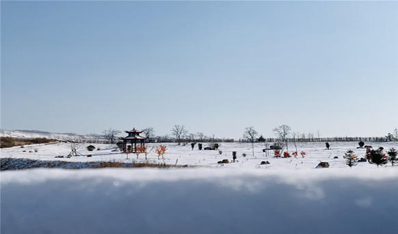 沈阳墓地实景