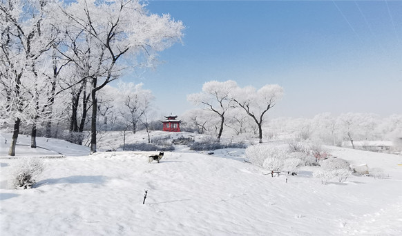 抚顺墓地实景