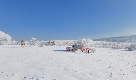 抚顺墓园实景