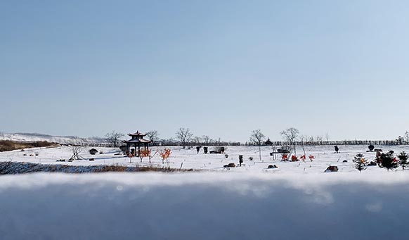 沈阳墓园实景