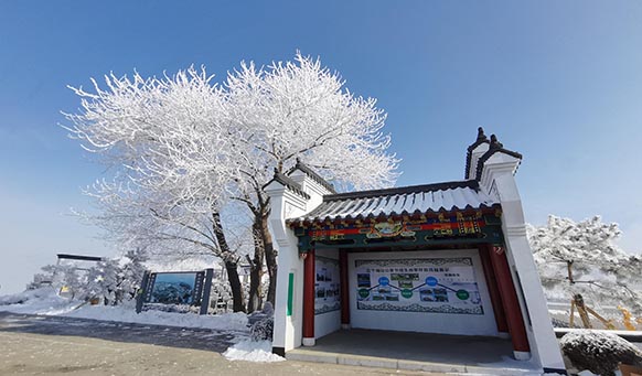 沈阳墓园实景