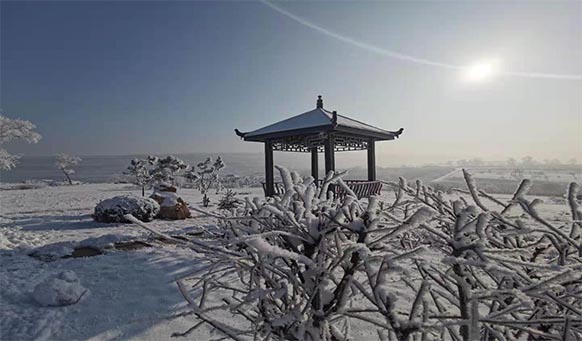 沈阳墓园实景