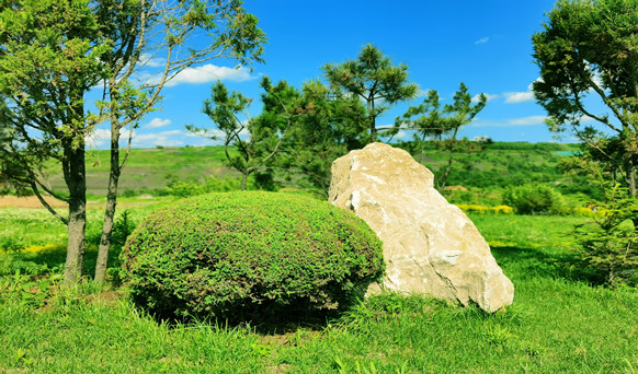 沈阳墓地实景