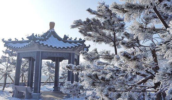 沈阳墓园实景