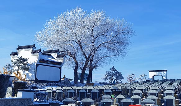 沈阳墓园实景