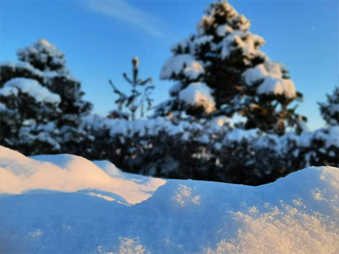 沈阳墓园实景