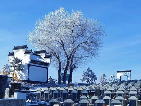 沈阳墓园实景