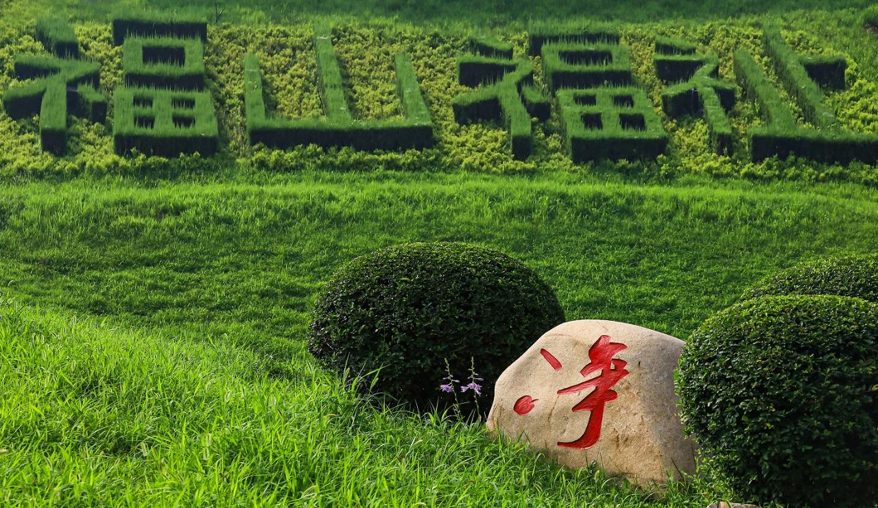 官方直营热线024-58179666