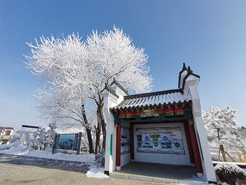 清明祭祀怎么来的呢？