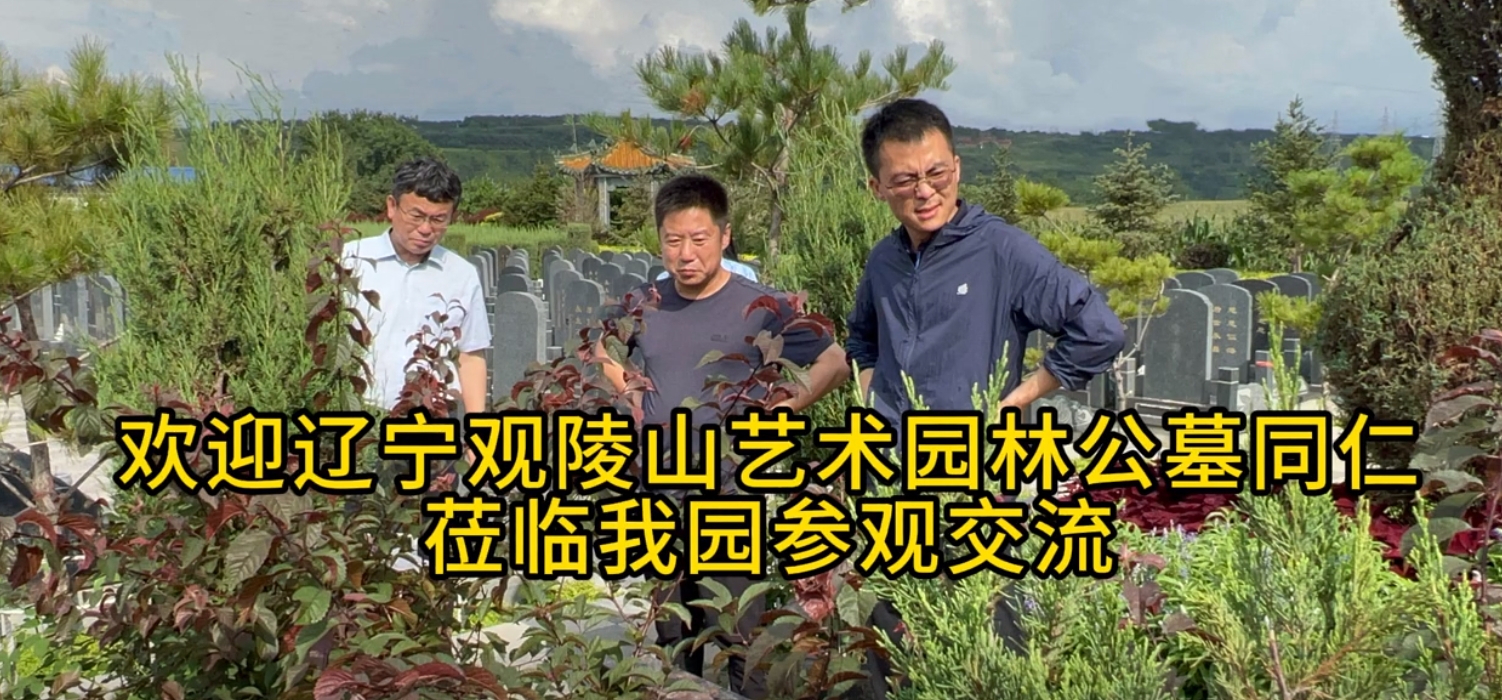 官方直营热线024-58179666
