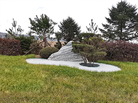 墓穴迁坟