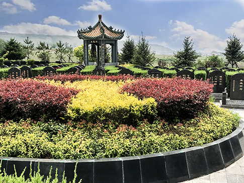 探索生态葬，开启绿色生命之旅