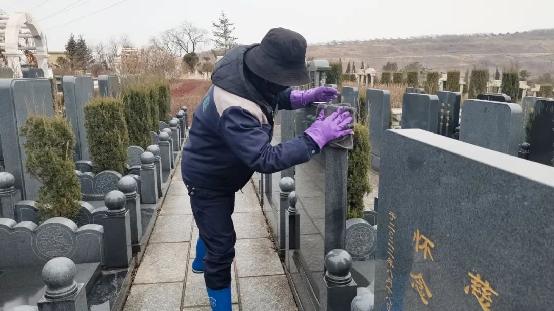 松柏长青，铭刻不朽的劳动之美