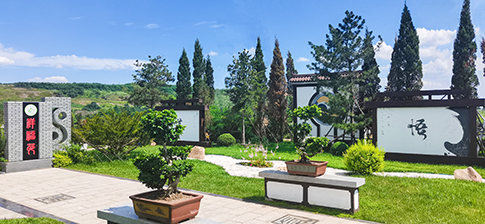 沈阳墓园中避坑指南