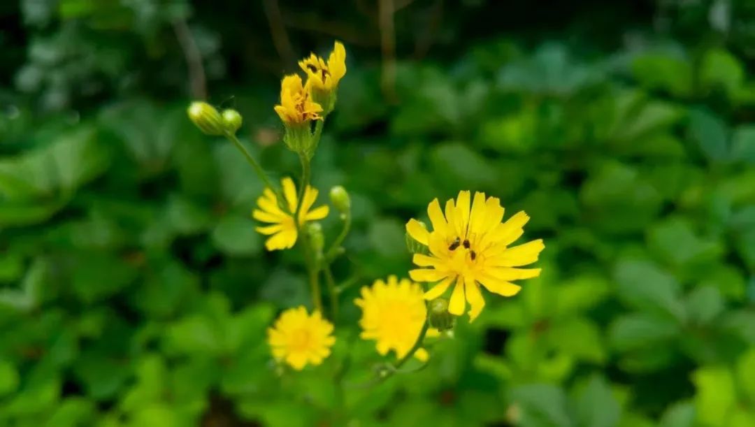 30强产生，距离5000元大奖又近一步！