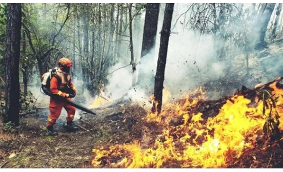 云南丽江森林火灾明火已扑灭，初步调查系电焊施工引发