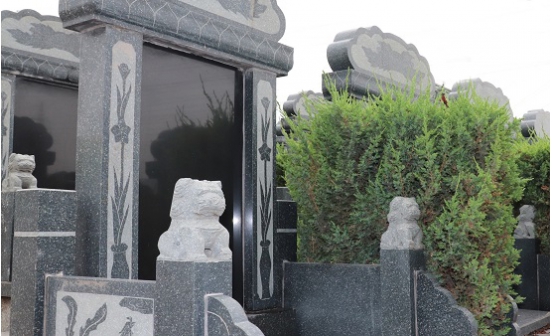 福山公墓墓位前石狮子