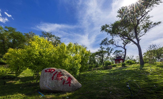 抚顺墓地美景