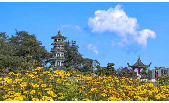 沈阳墓园墓地朝向（三）