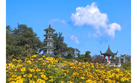 端午节为什么不能说节日快乐