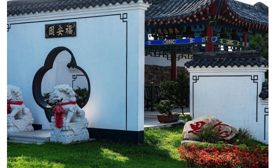 征文展播丨不思量 自难忘