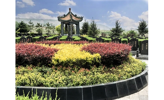 探索生态葬，开启绿色生命之旅