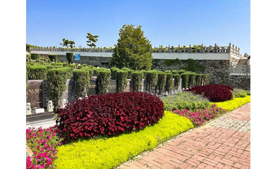 前100名丨福山主题语征集评审初选结果热辣出炉