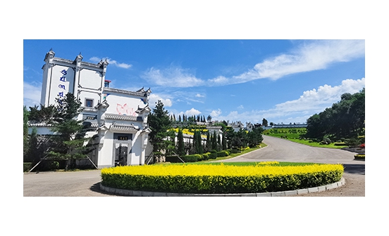 交流互鉴促提升 携手同行共发展